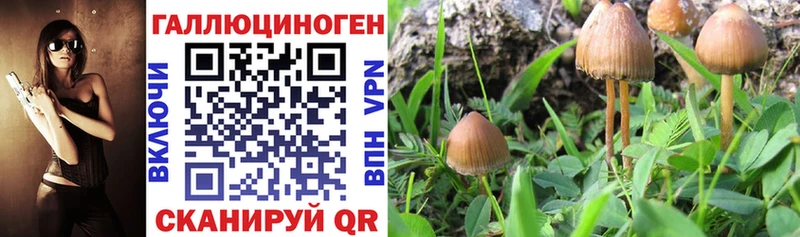 Псилоцибиновые грибы ЛСД Белинский